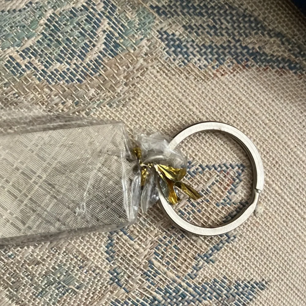 100 dollar key ring